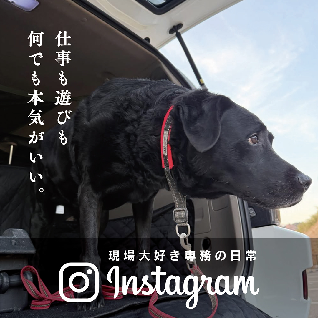 詳しくはこちら